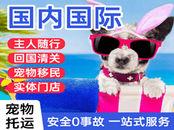 舟山航空空运国际宠物托运 【国